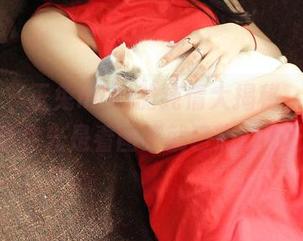 推女神 – 玉兔miki的纯情大揭秘，图案多到让你光是看图集就已心动不已！